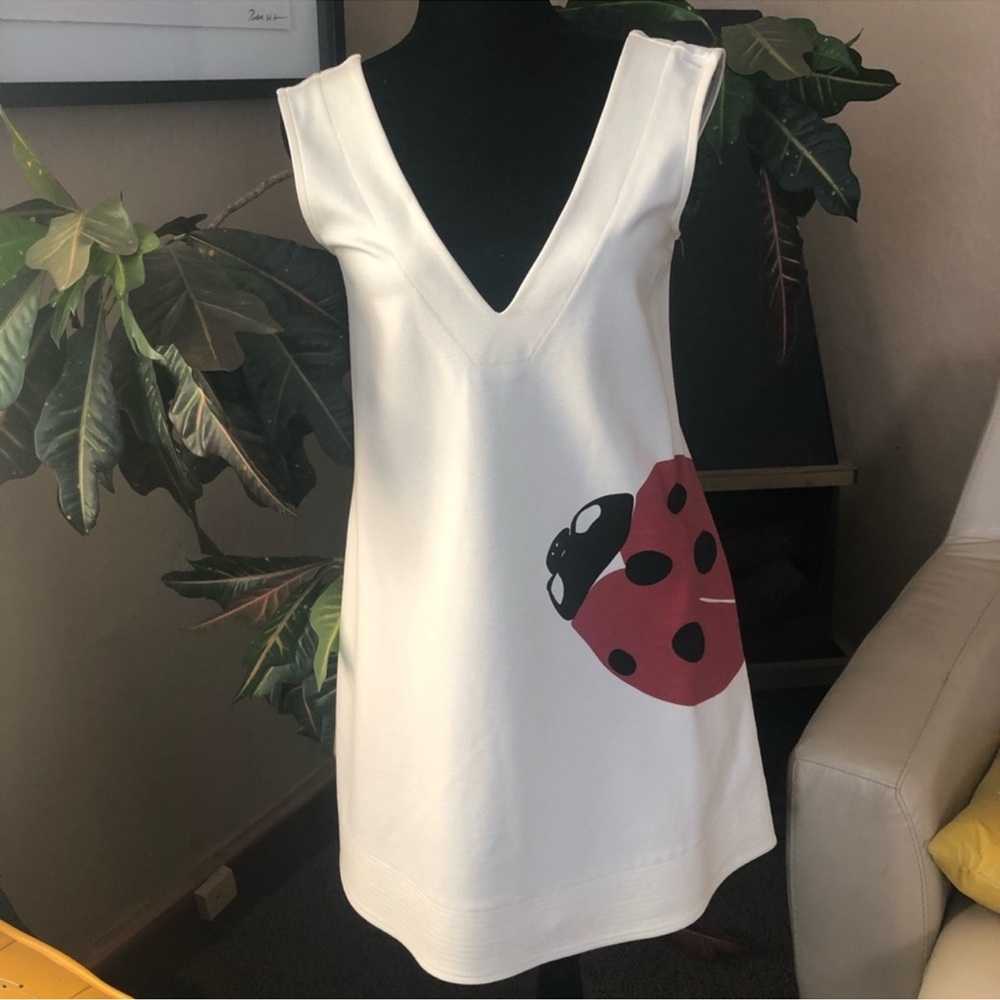 Cute Lady bug dress